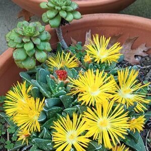 Meet your Posher, Kay